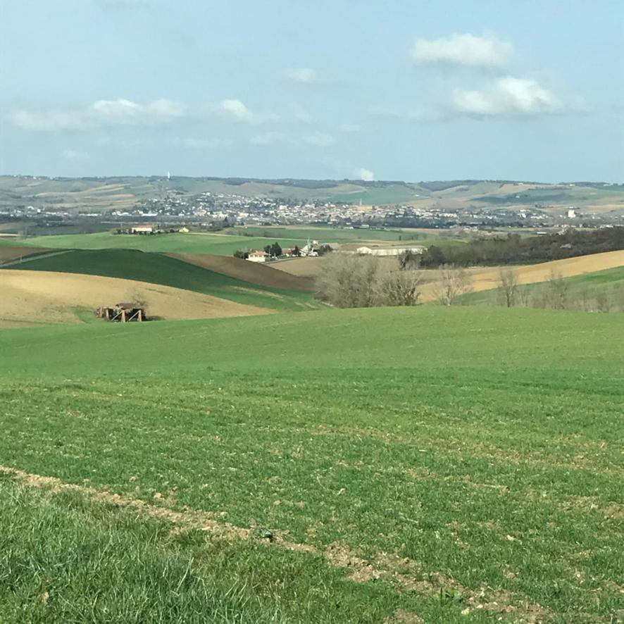 Maison D'Hotes La Lumiere De Migou Beaumont-de-Lomagne Bagian luar foto